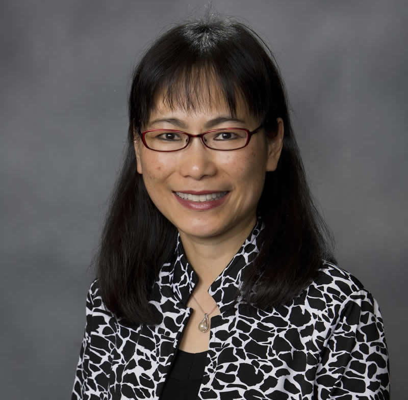 Victoria Tin-Bor Hui