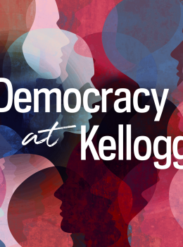 Democracy Initiative header