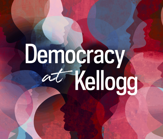 Democracy Initiative header Democracy Initiative header