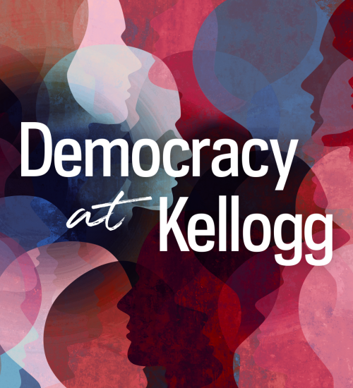 Democracy Initiative header Democracy Initiative header