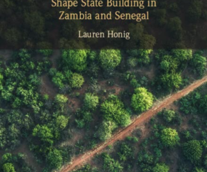 Land Politics by Lauren Honig