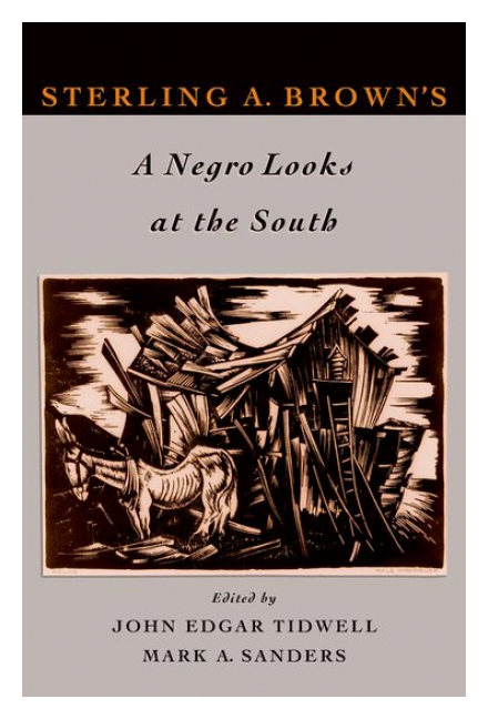 A Negro Looks at the South