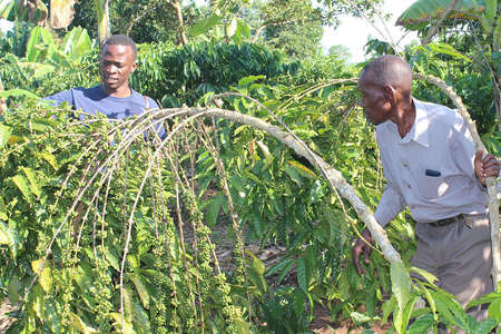 Trevor Lwere with a coffee farmer in Uganda